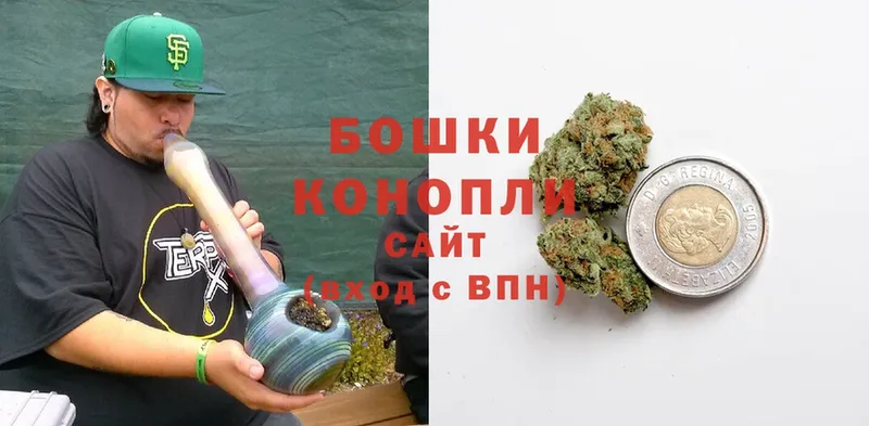 Бошки Шишки Bruce Banner  Дубовка 